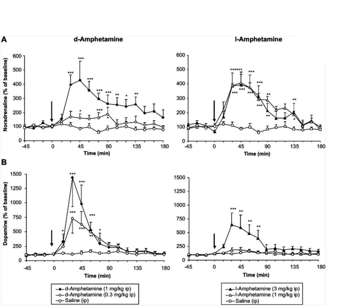 D-Amp_L-Amp_Noradrenalin-PFC_Dopamin-Striatum_bei_Ratten