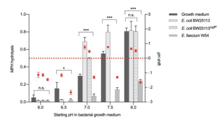 MPH Hydrolyse in vitro in Abhängigkeit vom pH-Wert